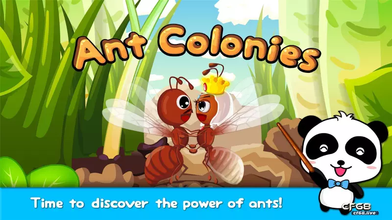 Chơi game vui nhộn cùng Ants colonies