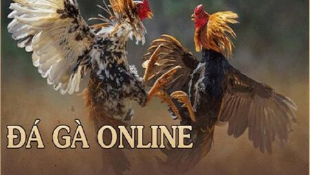 Game đá gà online – Cách chơi siêu hiệu quả tại CF68