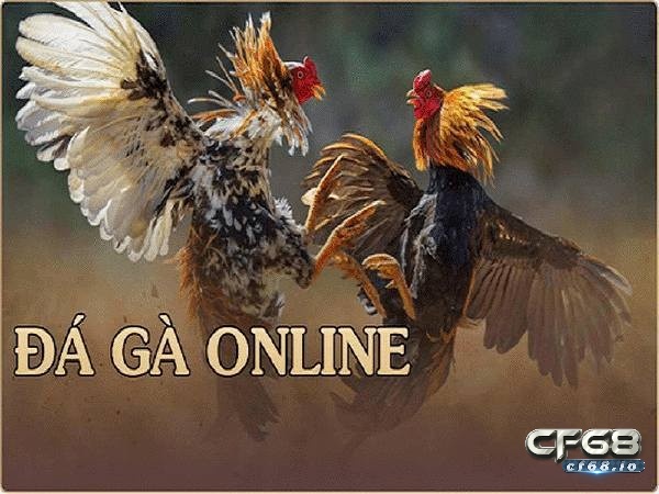 Game đá gà online là gì? 