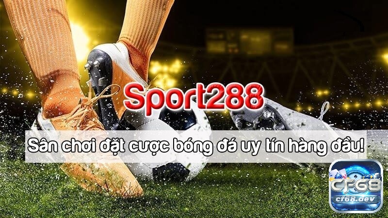 Sport 288.com.vn: Điểm đến hàng đầu cho trải nghiệm cá cược trực tuyến